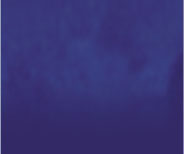 thyroid tsh test in bradenton